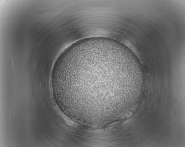 X0000066971072200604072024