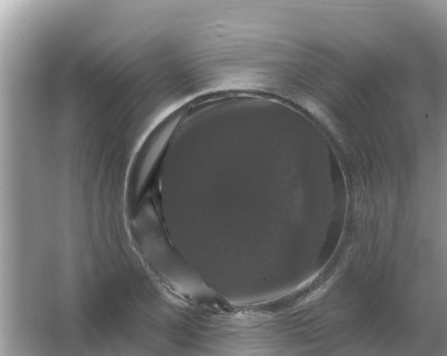 X0000066971077200604072024