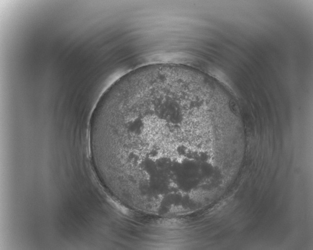 X0000066971079200604072024