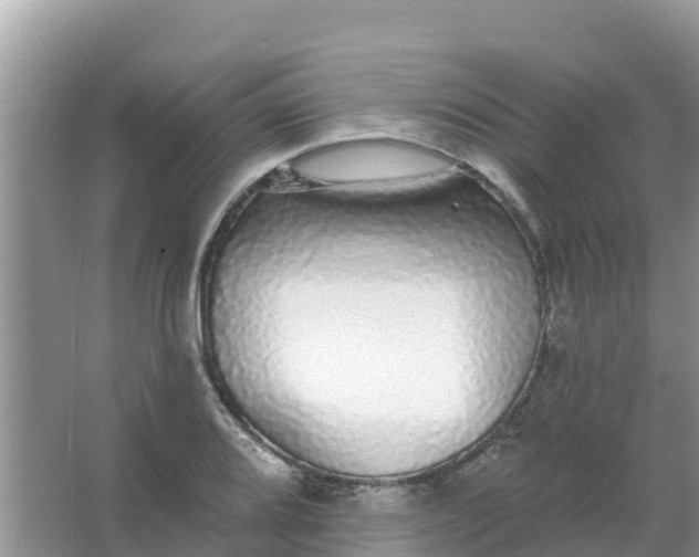 X0000066971080200604072024