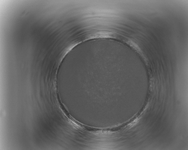 X0000066971081200604072024