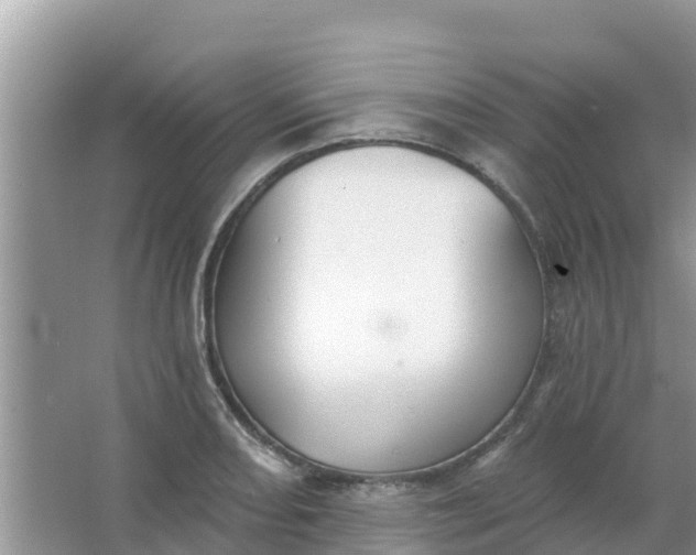 X0000066971082200604072024