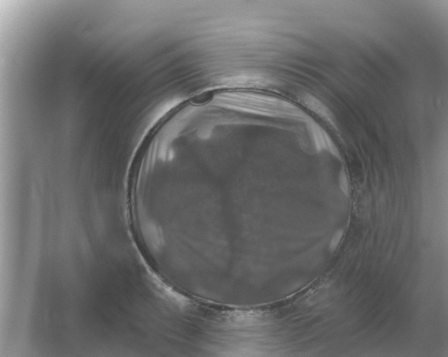 X0000066971087200604072024