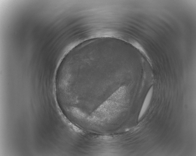 X0000066971088200604072024