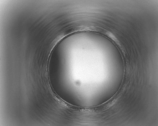 X0000066971089200604072024