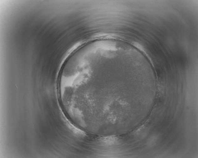 X0000066971090200604072024