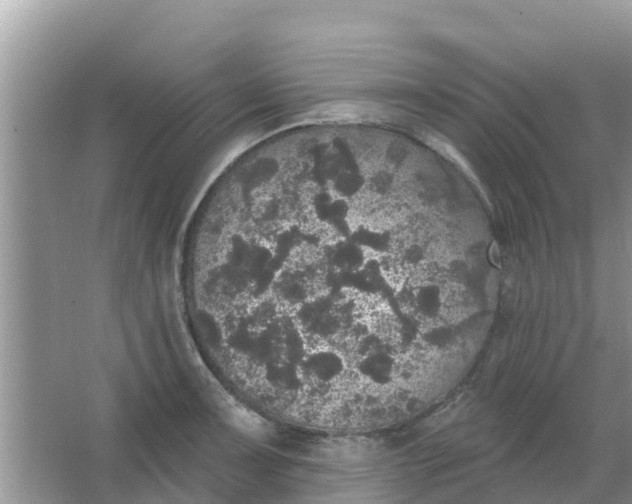 X0000066971091200604072024