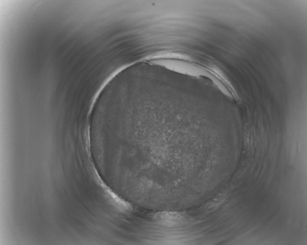 X0000066971092200604072024