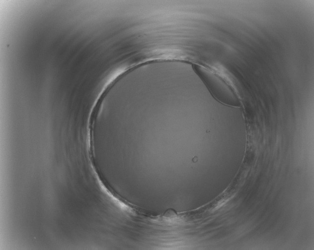 X0000066971095200604072024