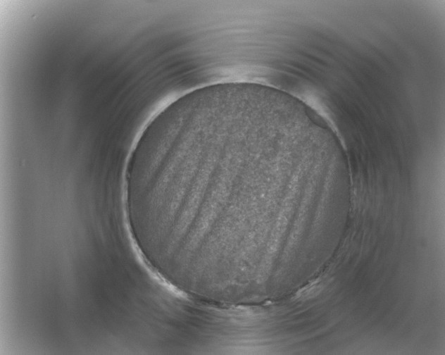 X0000066971096200604072024