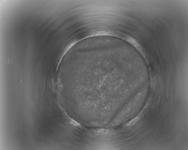 X0000066971097200604072024