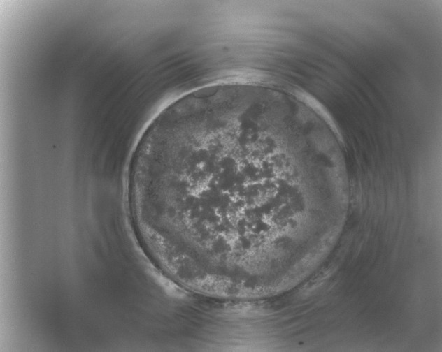 X0000066971099200604072024