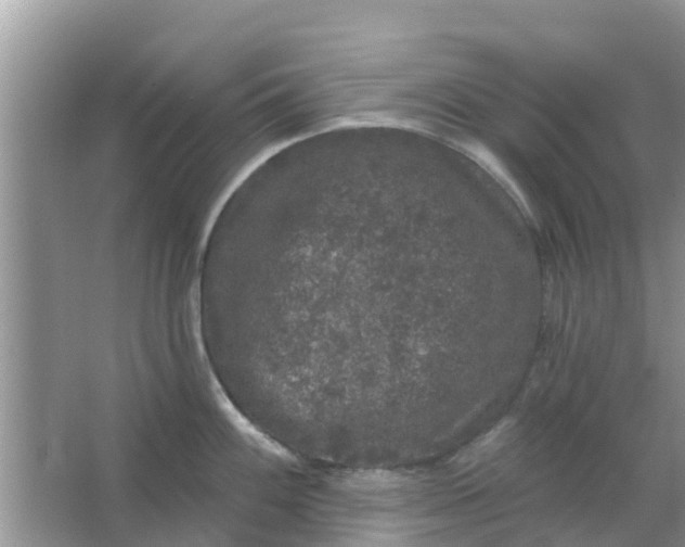 X0000066971100200604072024