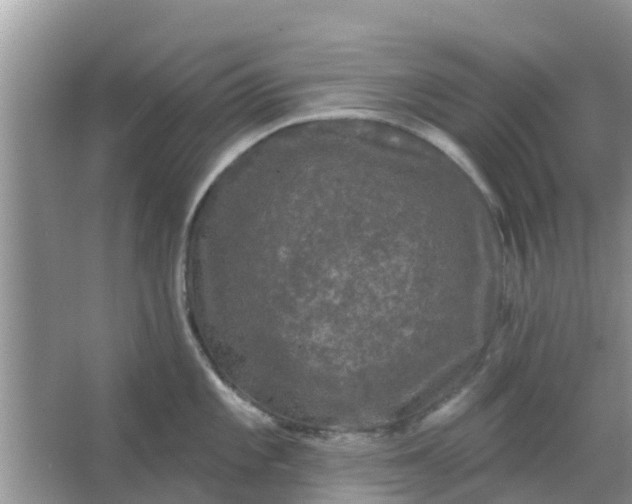 X0000066971101200604072024