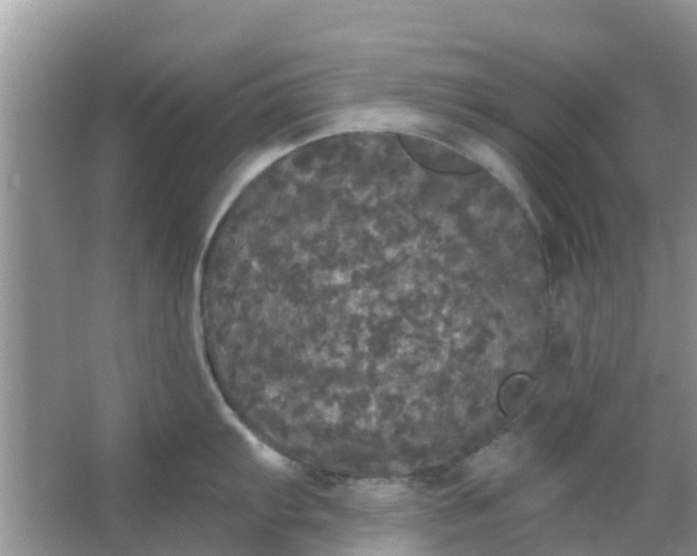 X0000066971103200604072024