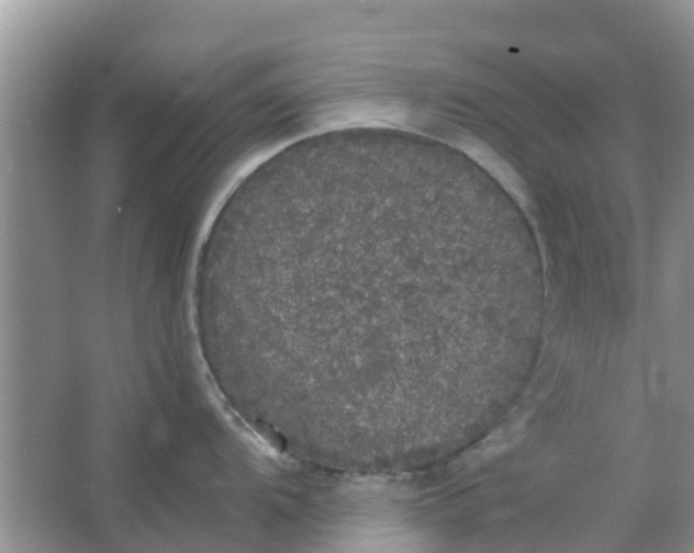 X0000066971104200604072024