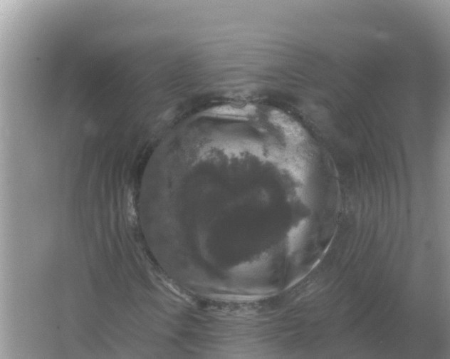 X0000066971106200604072023