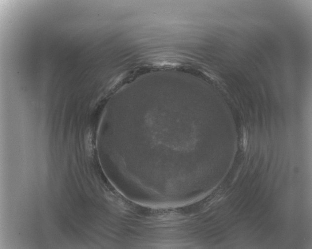 X0000066971108200604072023