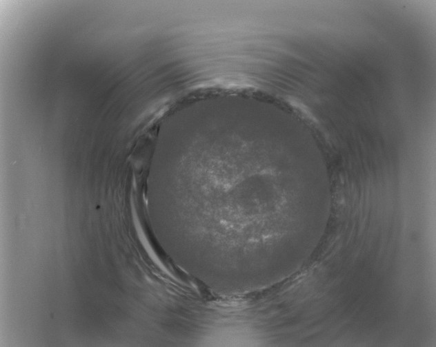 X0000066971110200604072023