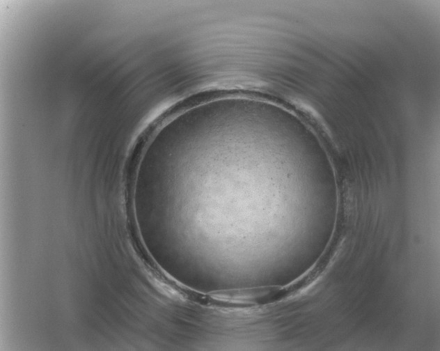 X0000066971114200604072023