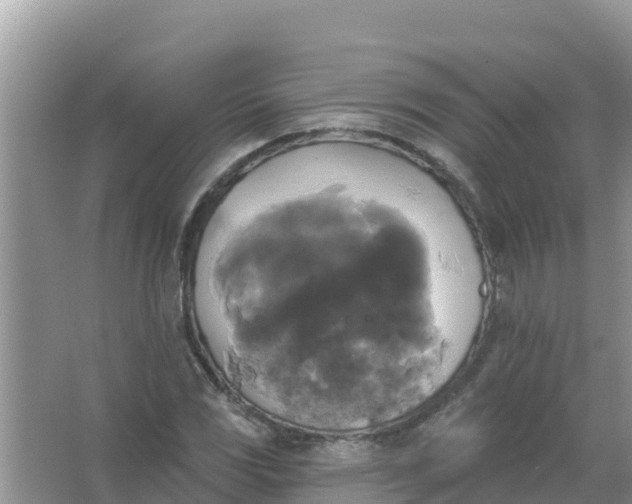 X0000066971117200604072023