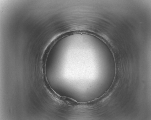 X0000066971118200604072023