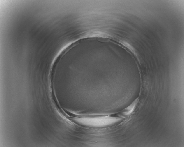 X0000066971120200604072023