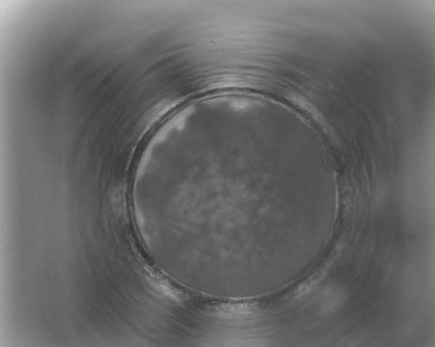 X0000066971121200604072023