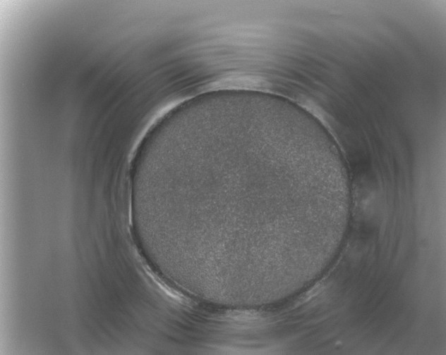 X0000066971123200604072023