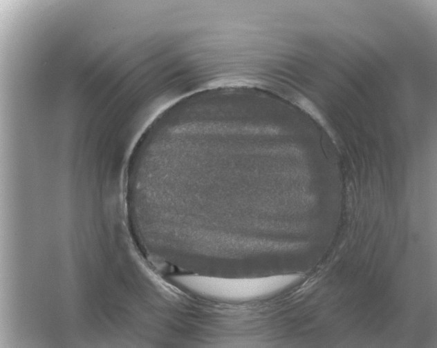 X0000066971124200604072023