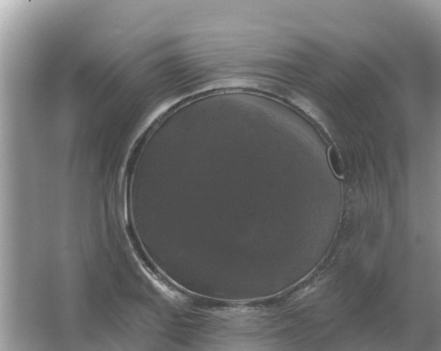 X0000066971127200604072023