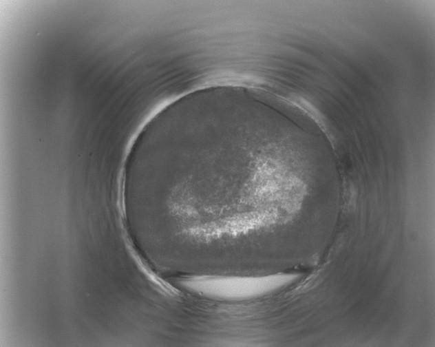 X0000066971128200604072023