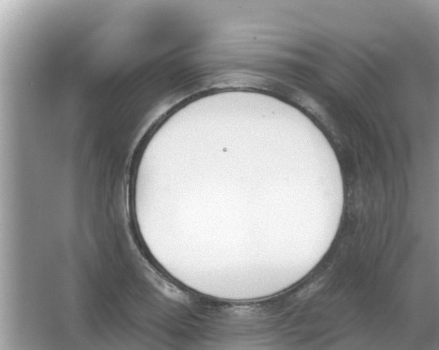 X0000066971130200604072023