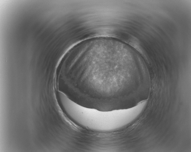 X0000066971132200604072023