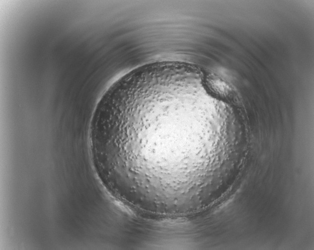 X0000066971133200604072023