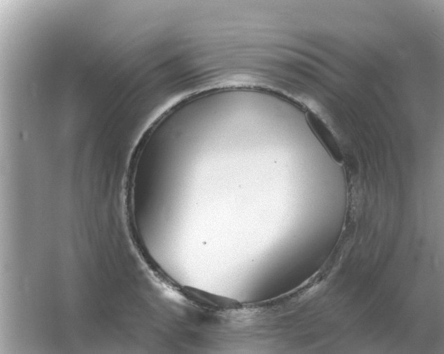 X0000066971134200604072023