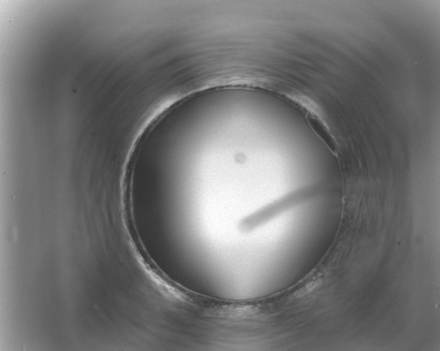 X0000066971135200604072023