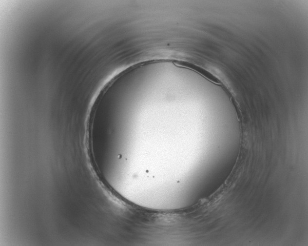 X0000066971136200604072023