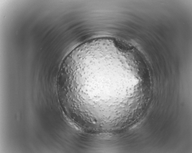 X0000066971137200604072023