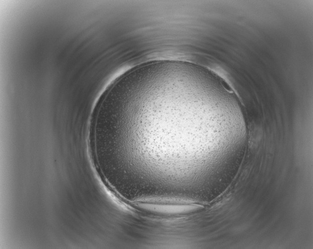 X0000066971139200604072023