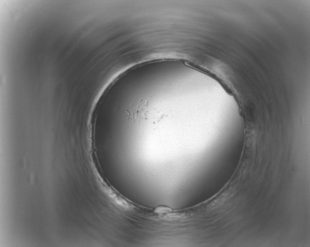 X0000066971140200604072023