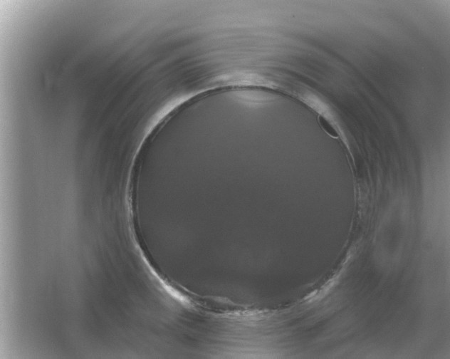 X0000066971141200604072023