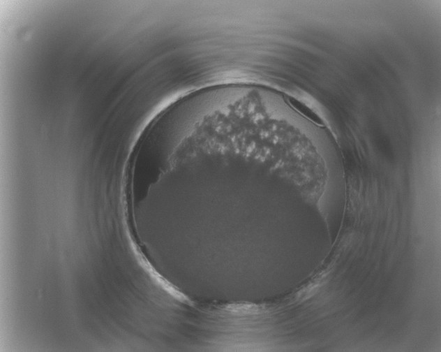 X0000066971142200604072023