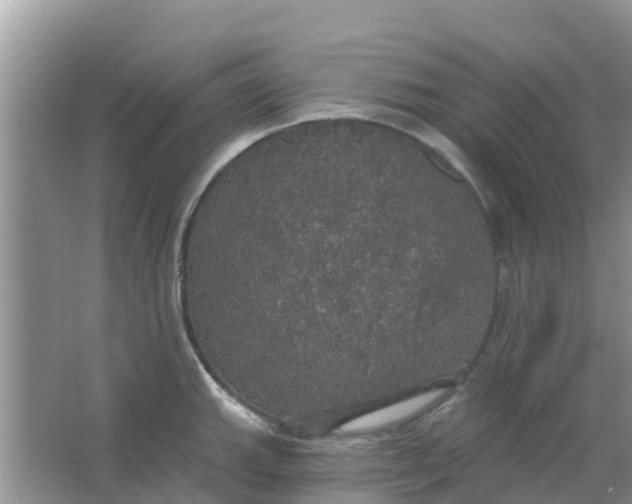 X0000066971143200604072023