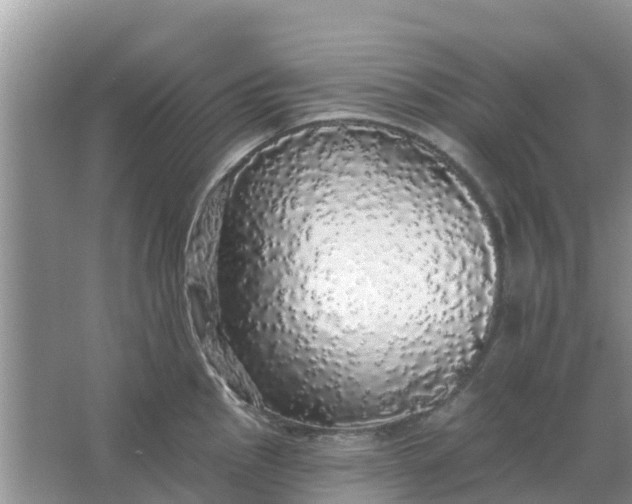 X0000066971145200604072023