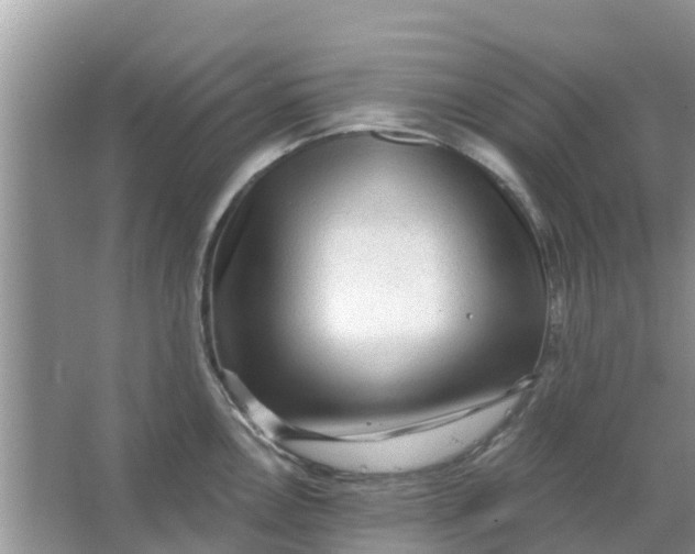 X0000066971146200604072024