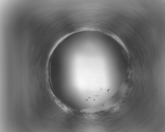 X0000066971148200604072024