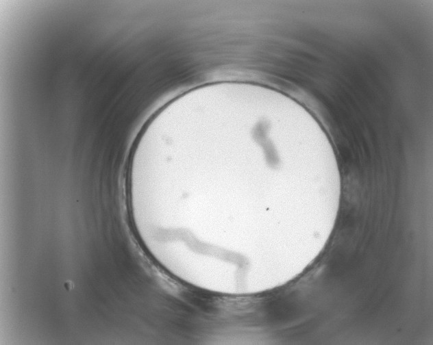 X0000066971150200604072024