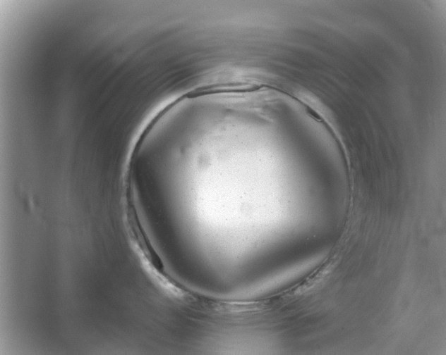 X0000066971152200604072024