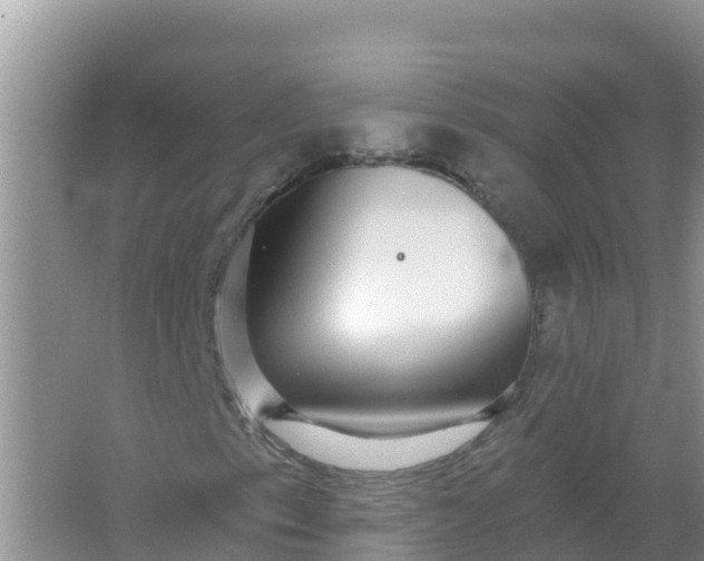 X0000066971153200604072023